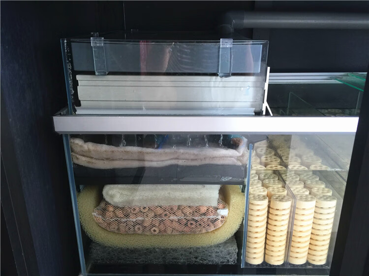 屋山树滤材细菌屋鱼缸水族过滤材料迷你陶瓷环锦鲤鱼池3d螺旋细菌屋