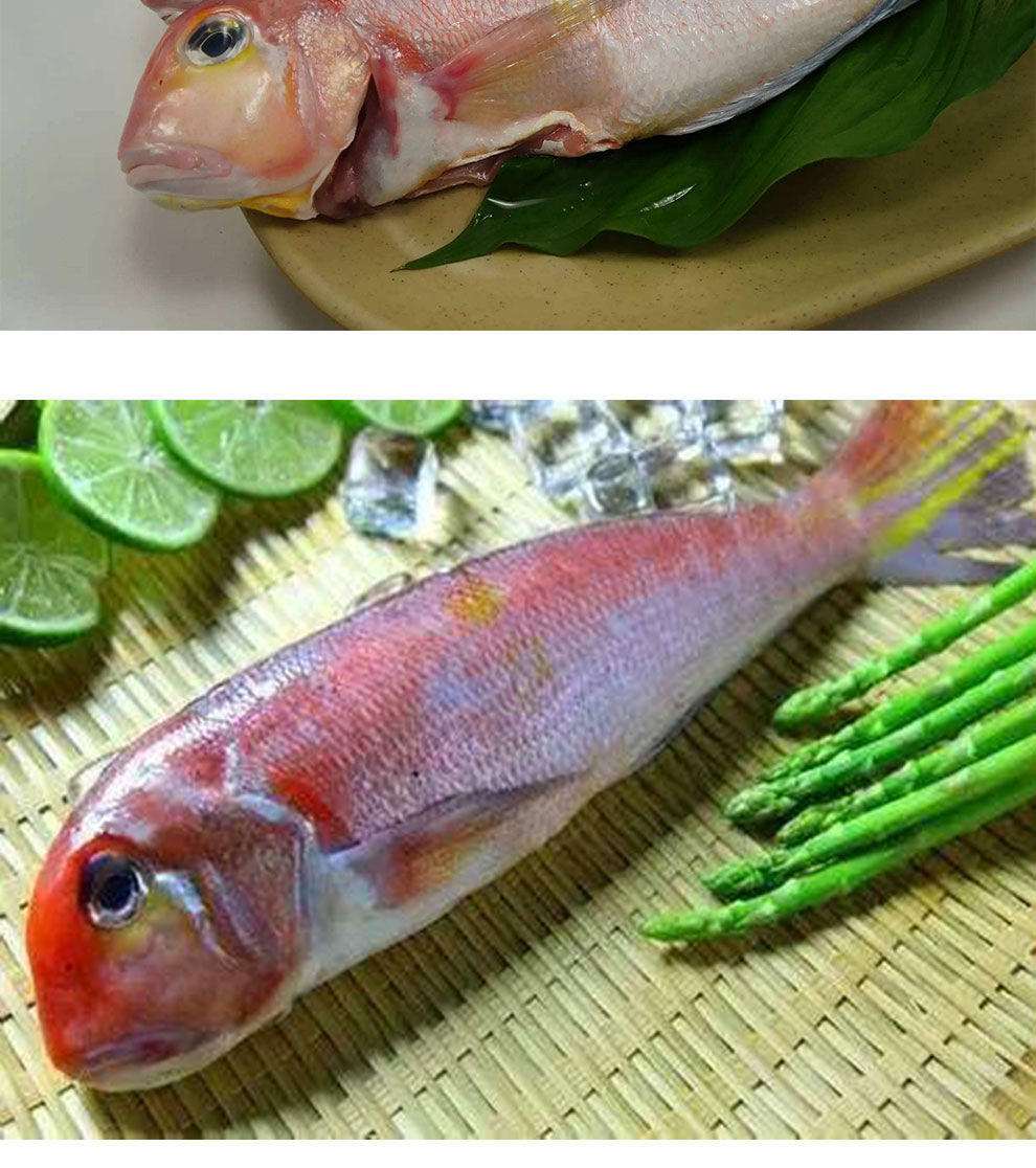 天然马头鱼鲜活冷冻海鲜深海甘鲷鱼斧头鱼水产厂家批发海钓腾旺纳跃1