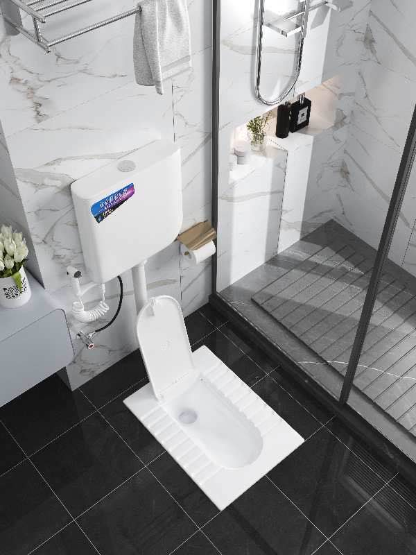 冲水箱超薄厕所广东省家用蹲便器带盖板薄陶瓷冲水箱套装厕所便池蹲坑