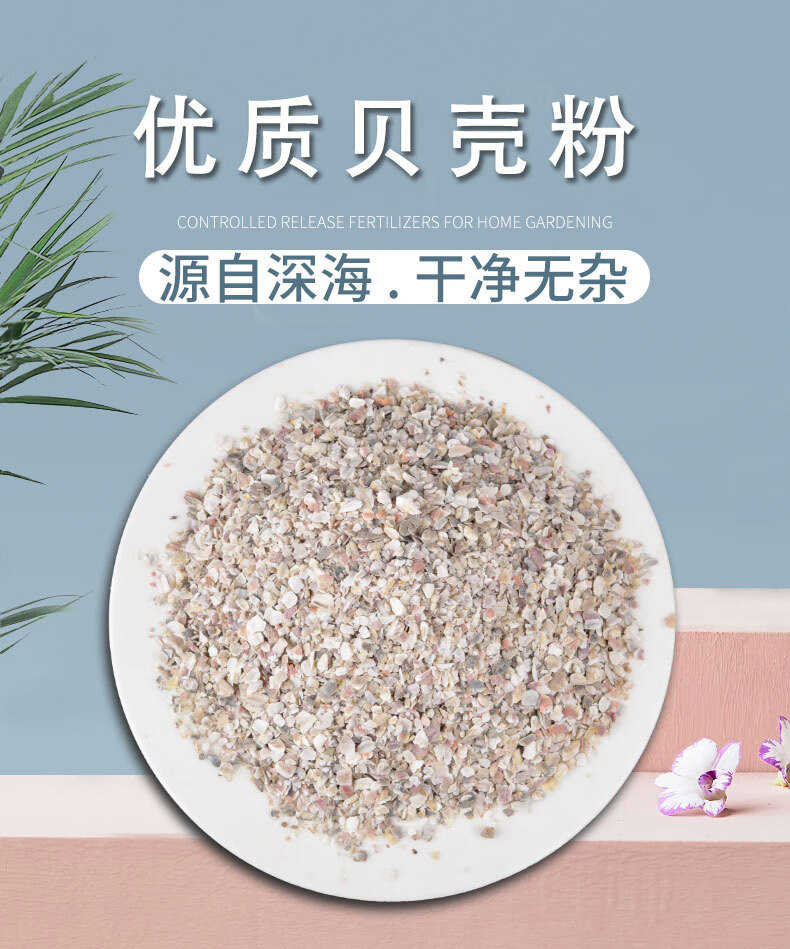 贝壳粉饲料 牡蛎粉贝壳饲料 鸡用补钙鸽子贝壳砂 贝壳饲料汐岩 5斤