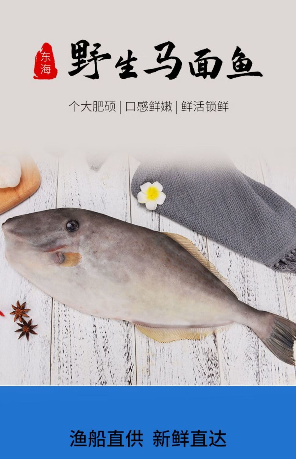 东海新鲜马面鱼剥皮鱼扒皮鱼耗儿鱼剔皮鱼皮匠鱼面包鱼烧烧角新鲜剥皮