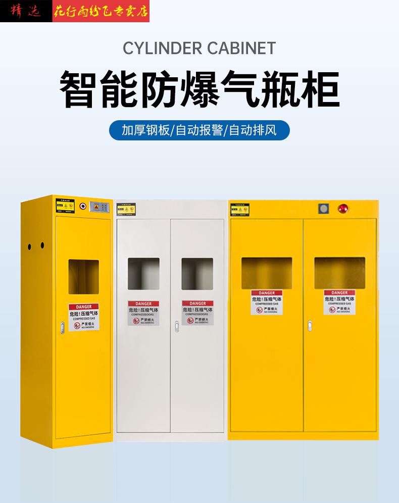 气瓶柜全钢气瓶柜实验室乙炔氦气安全柜氧气氮气储存柜防爆柜单双煤气