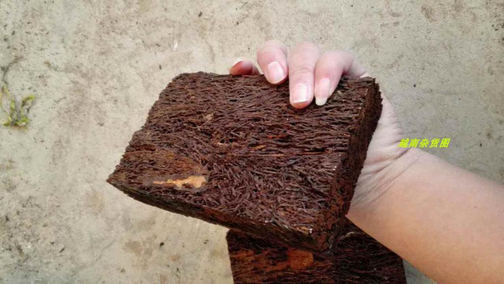 蛇木板越南石斛洋兰植兰科专用附生兰花绑植盆种植板盆屑1件免运18cm