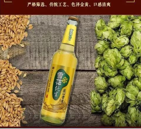 雪花纯生瓶装10至20瓶装沈阳雪花金纯生啤酒500ml瓶装原厂精酿纯生