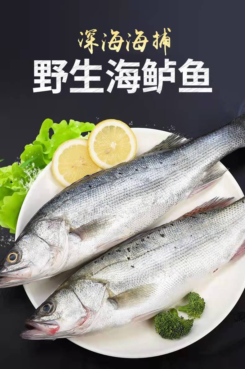 食邦人 海鲈鱼 新鲜海捕七星鲈鱼 冷冻冰鲜深海水产