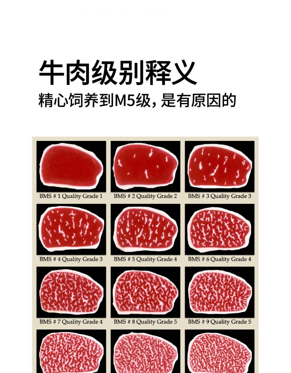 神泽雪花牛肉m5安格斯牛肉饼汉堡肉饼馅饼早餐谷饲生鲜原切家庭用 m5