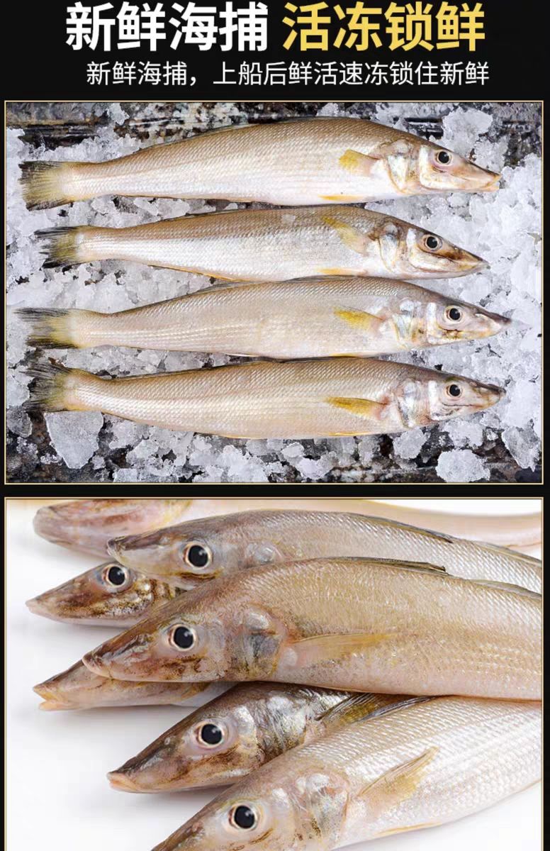 沙丁鱼新鲜批发鲜活冷冻冰鲜海鲜烧烤大个沙丁鱼腾旺纳跃买2斤囎1斤肉