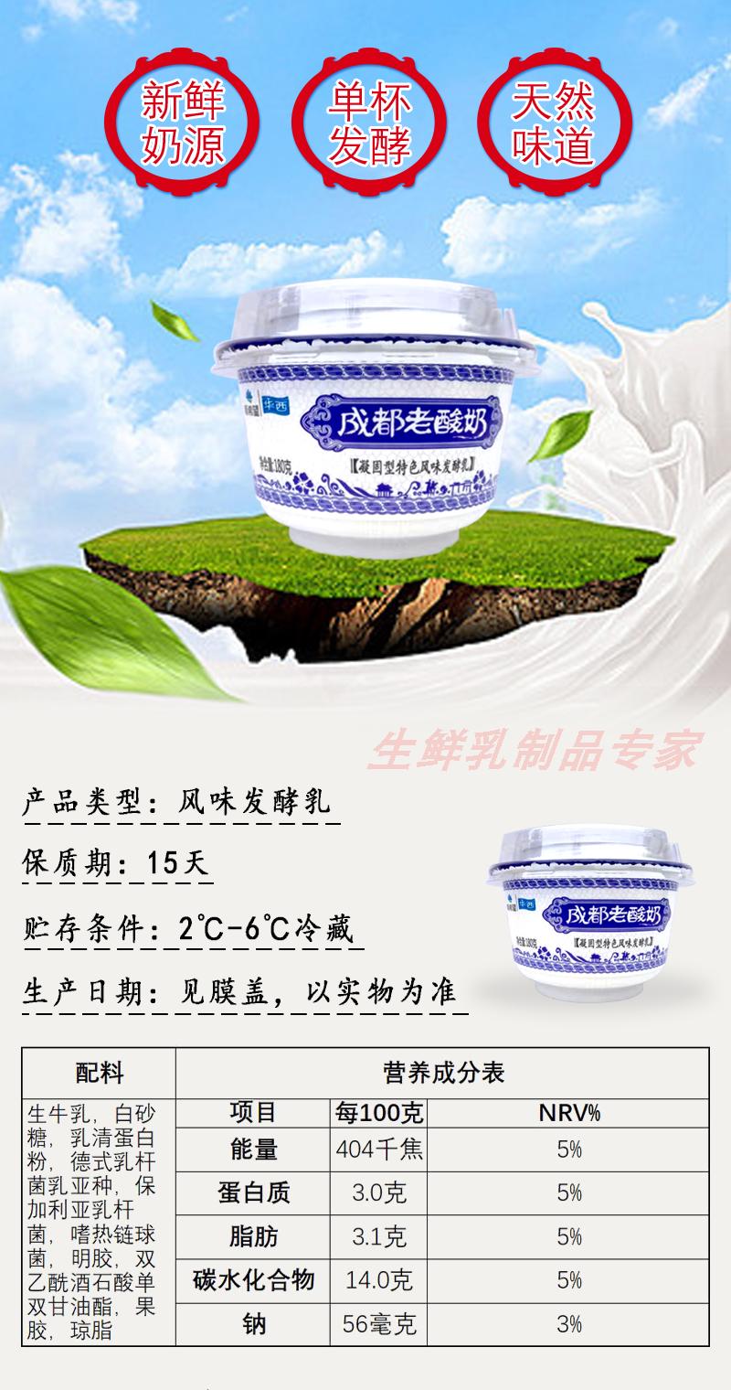 晨臻 华西成都老酸奶菌发酵乳营养早餐酸牛奶180g大碗* 12杯 180克