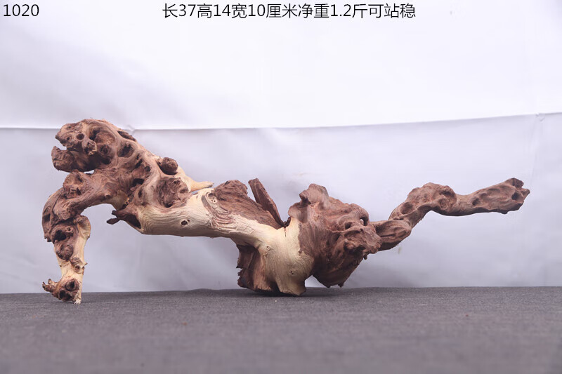 11615330bc2d1121.jpg