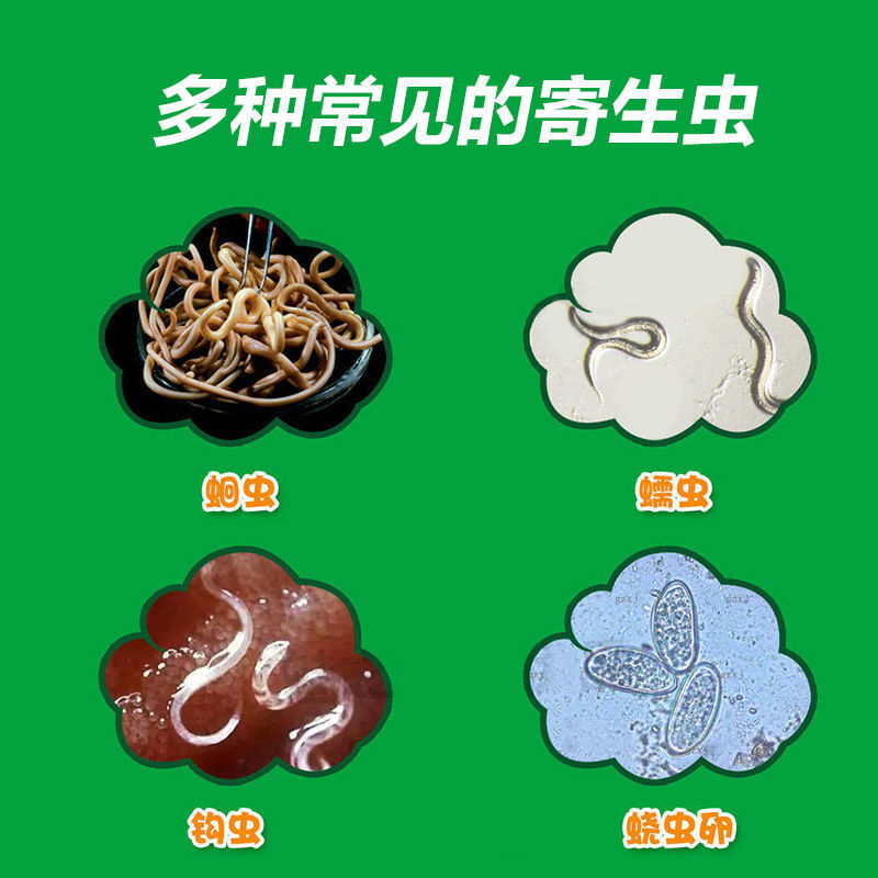 妙康恩宝塔糖儿童塔塔糖驳蛔虫哈塔糖肠道虫糖又名打虫糖花塔糖菠萝糖