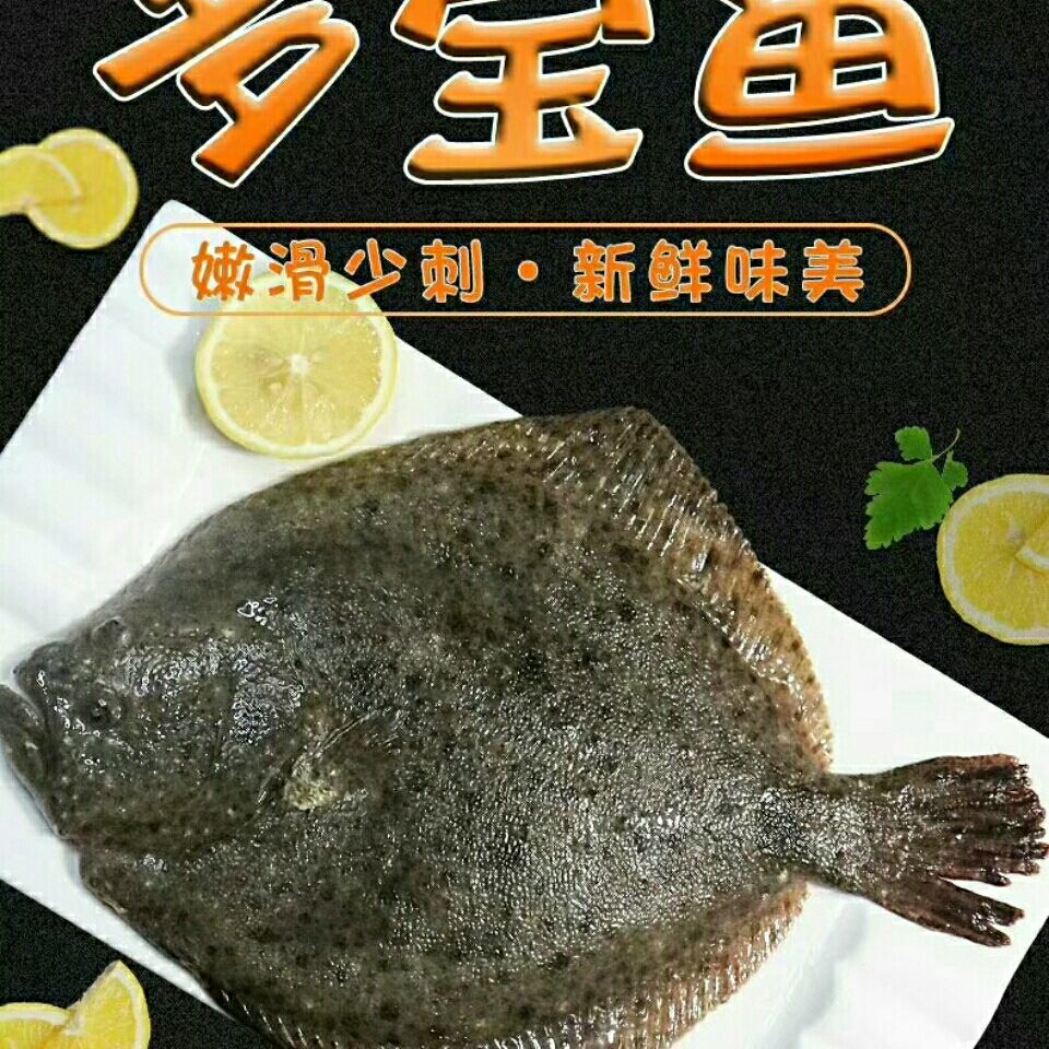 壞單包賠新鮮海捕興城多寶魚鮮活冷凍深海魚比目魚偏口魚康勝誼每條5