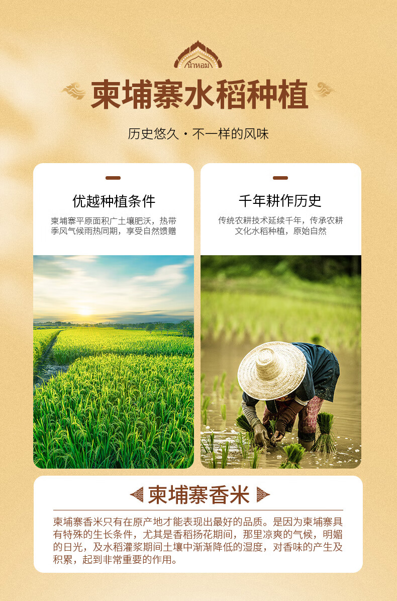 乍仑旺原粮柬埔寨香米10kg大米20斤柬埔寨米
