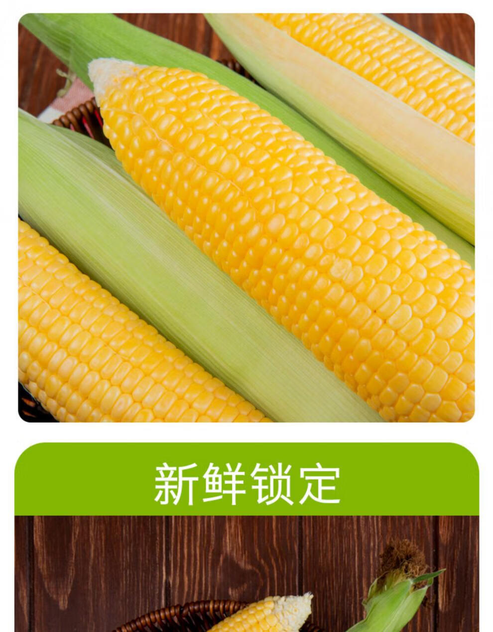 绿塔甜糯玉米 富硒玉米甜糯软香小粒黄玉米东北粘玉米20棒顺丰 5kg