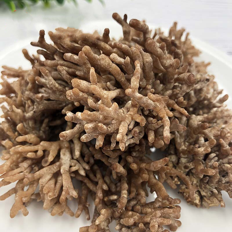 福建武夷山特产龙爪菇新鲜猫爪菇鸡爪菇菇老鼠爪500g特色食材新鲜龙爪