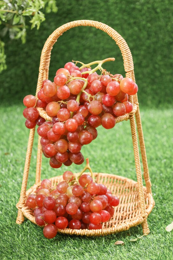 智利慕斯卡香水葡萄红提子高甜皮薄当季新鲜水果2/4斤顺丰空运 2斤