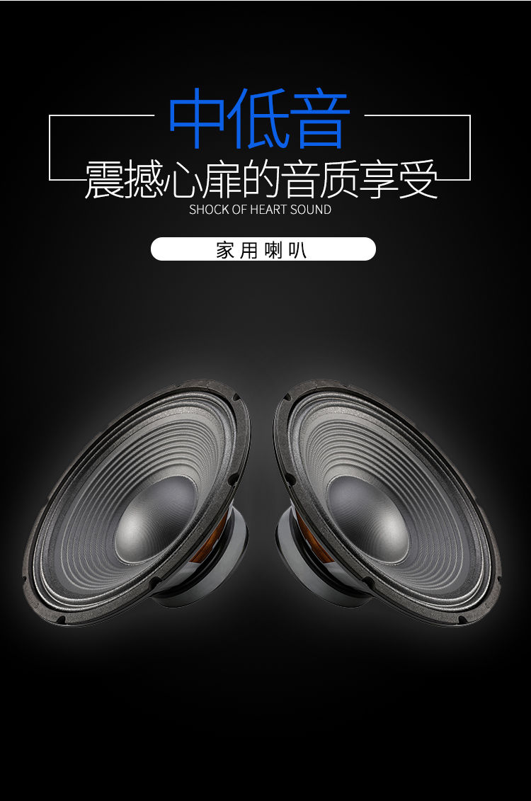 炫咔仕适用于低音喇叭6寸8寸10寸12寸15寸大功率重低音音箱音响超重