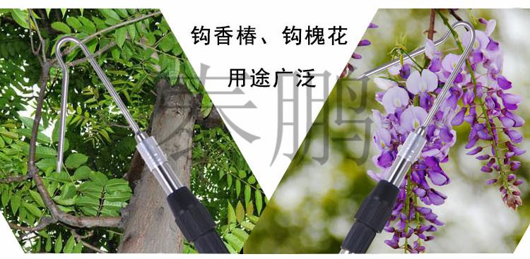 不锈钢伸缩采摘杆多功能采摘香椿槐花工具2019新款领祥香椿钩开口刀
