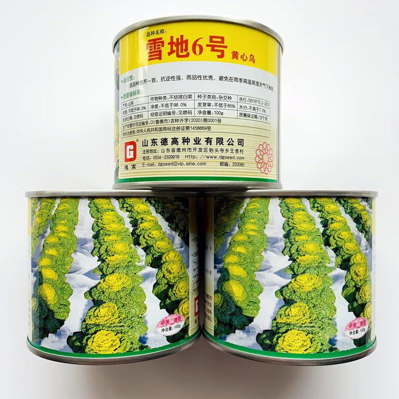 黄心乌塌菜种籽淮南正宗徽乌15矮皇后黄心菜种子耐寒秋冬蔬菜种孑 徽