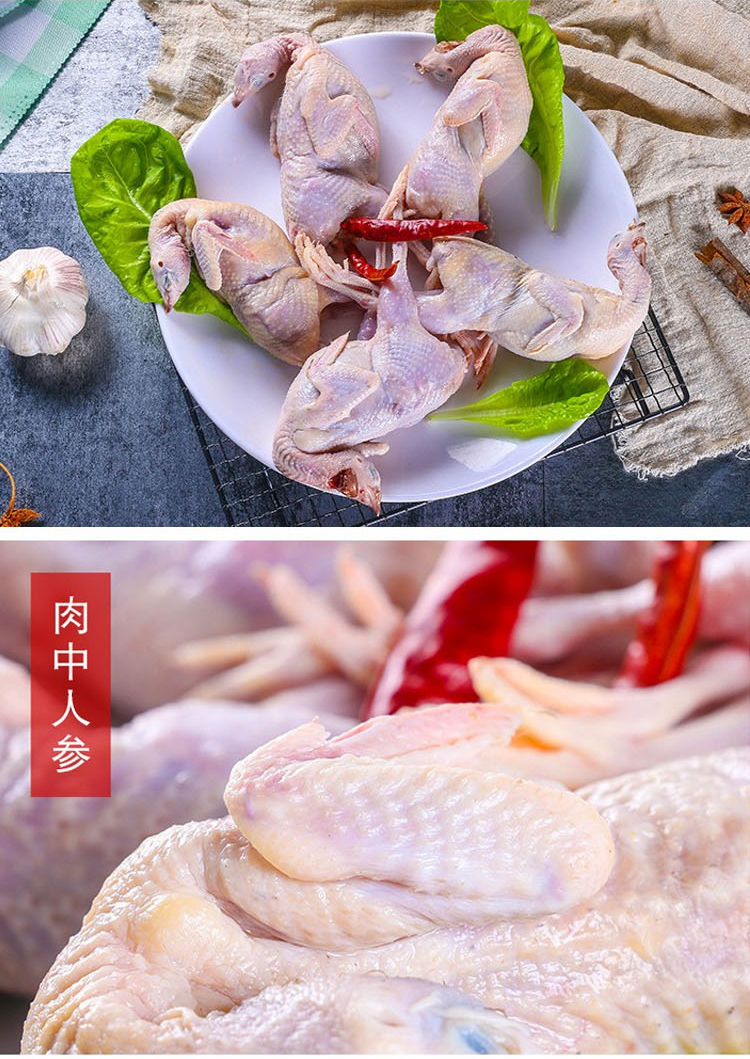 鹌鹑肉放血现杀新鲜大号活体冷冻白条生骨肉烧烤炖汤油炸炖每只3两
