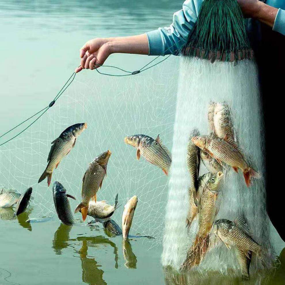 三層綠絲網魚網攔河三層沉網浮網掛沾抓鯽魚捕魚神器漁網綠絲加密三層