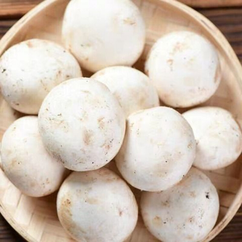 口蘑 双孢菇 蘑菇 新鲜白蘑菇火锅 洋蘑菇营养蔬菜菌菇类 3斤口蘑