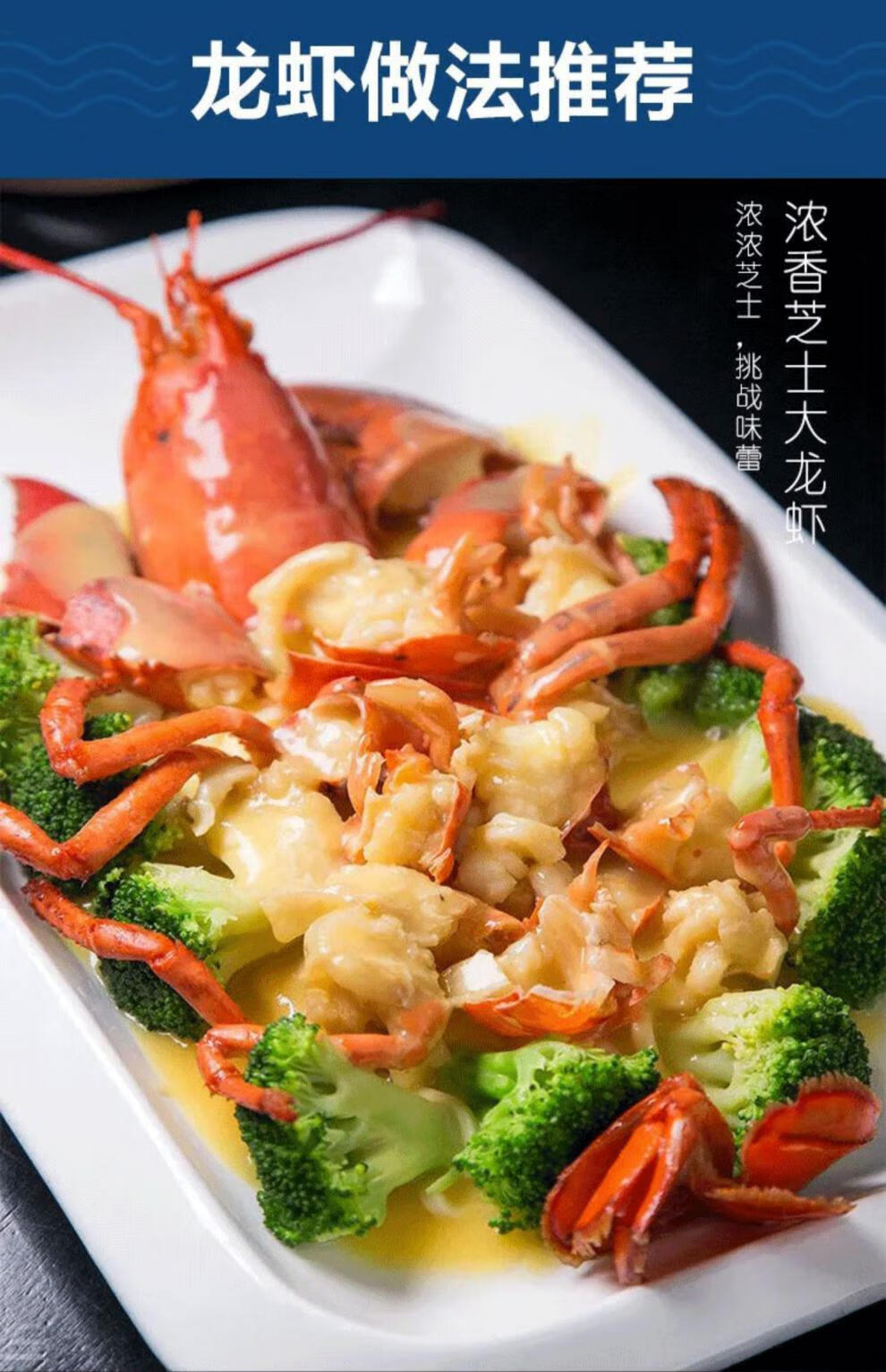 青樱红荔波士顿龙虾特大号波龙海鲜澳龙鲜活冷冻大龙虾1750g50115cm