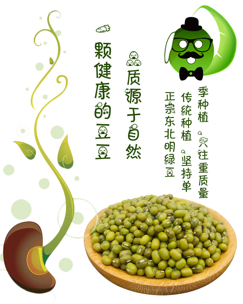 绿豆25斤装可发芽东北绿豆熬煮易熟易烂农家自产杂粮普通绿豆可发芽五
