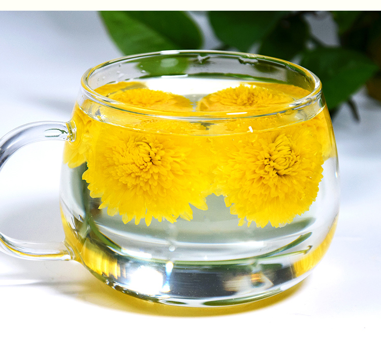 婺源徽州皇菊黄菊新茶花草茶散装泡水干菊花菊花茶