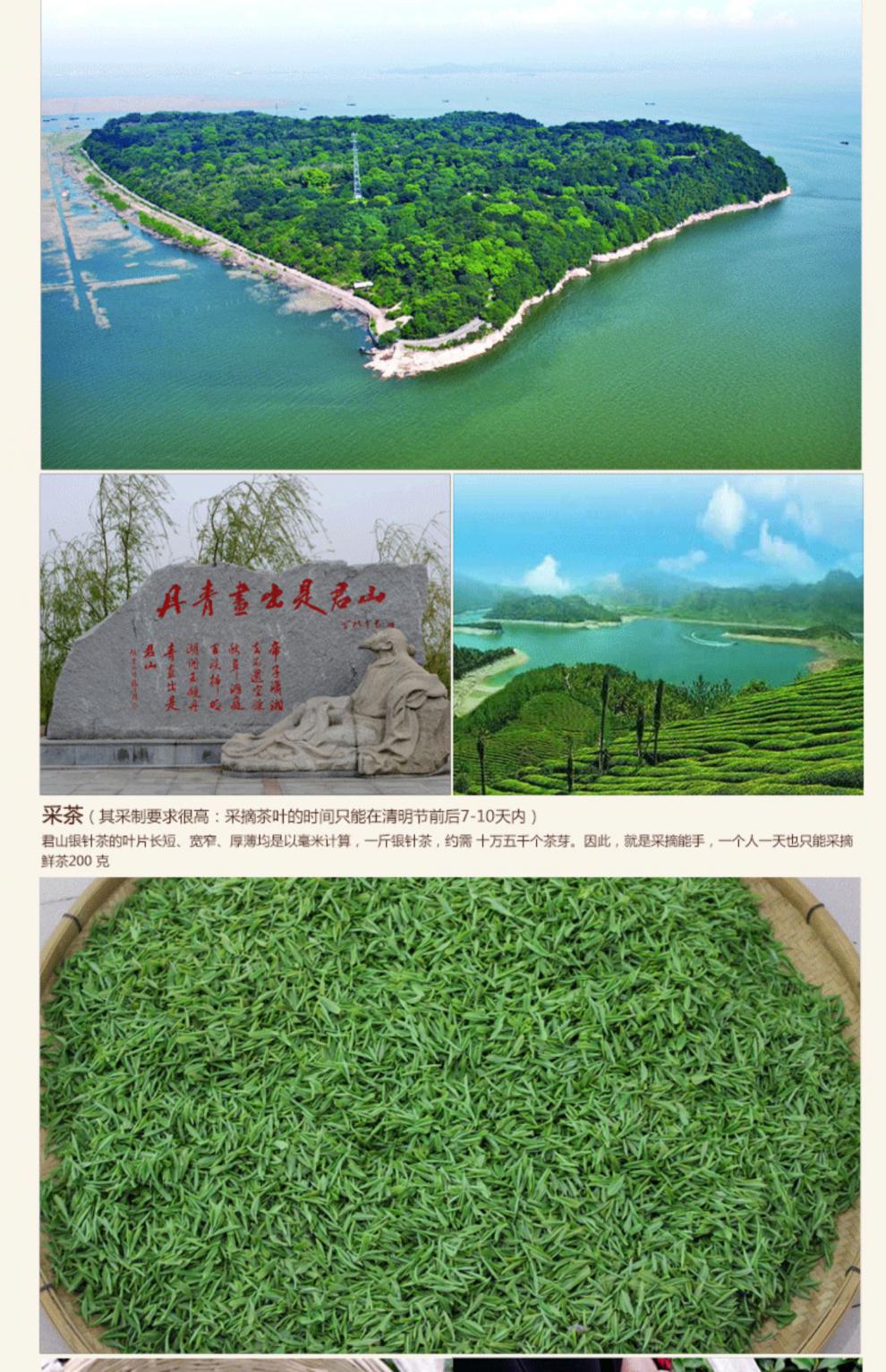 君山银针 2021新茶 春茶湖南岳阳特产 湖心岛明前 黄茶君山银针50克