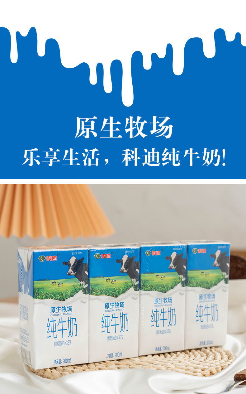 【官方旗舰】【新鲜日期】科迪纯牛奶原生牧场纯牛奶整箱学生儿童营养