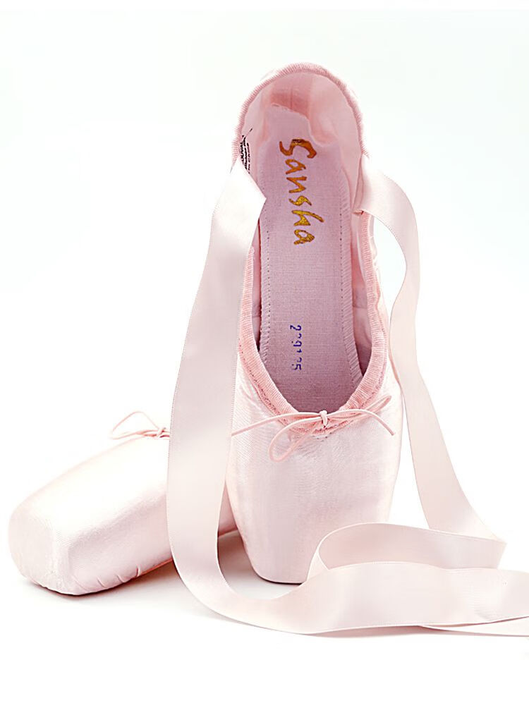 法国芭蕾舞鞋 足尖鞋芭蕾初学者绑带 复古练功舞蹈鞋女硬底鞋 【帆布