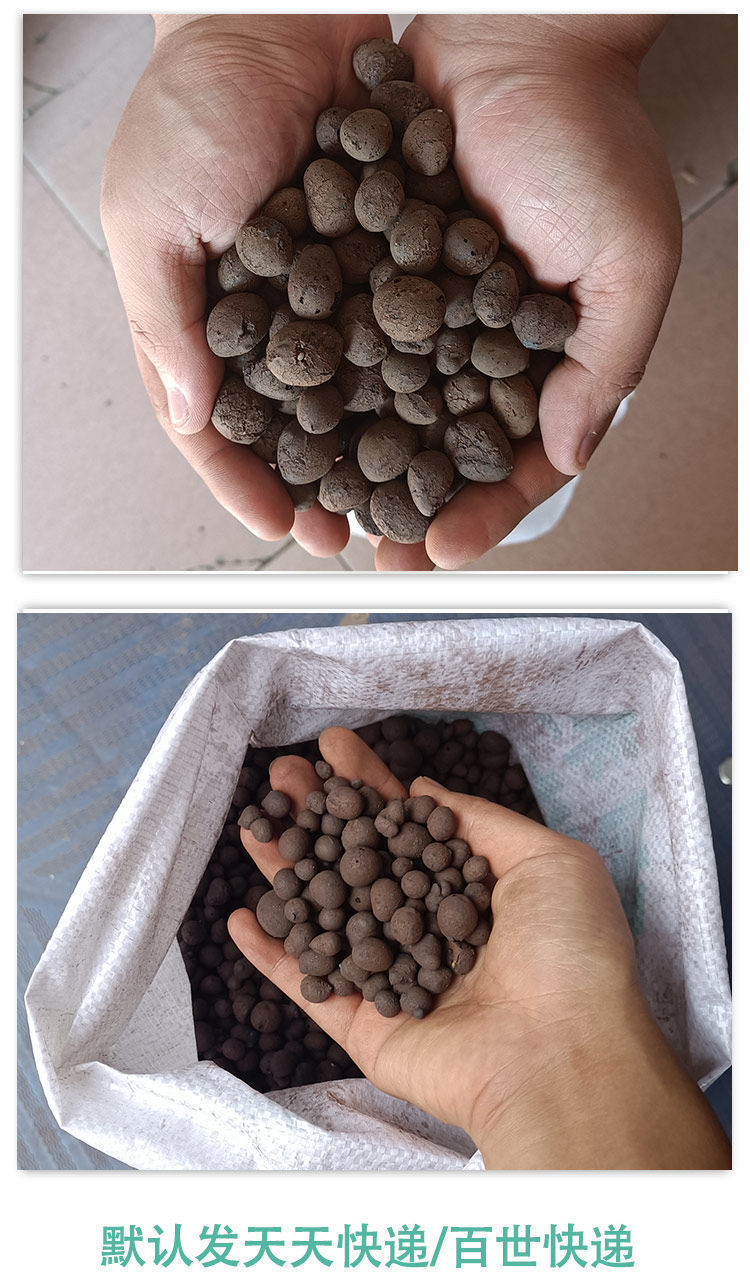 园艺陶粒批发垫底花盆垫底多肉10斤养花铺面石子水培透气花卉多肉 大
