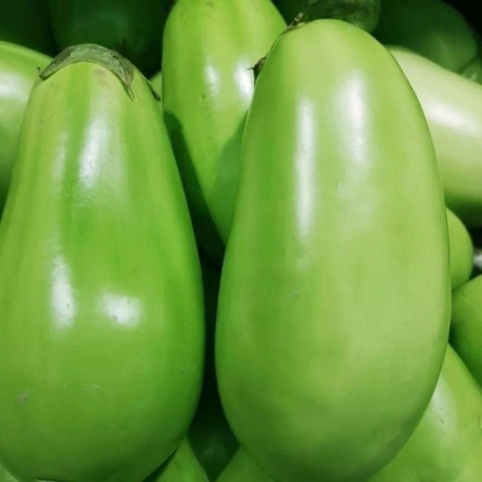 东北茄子新鲜生吃现摘甜绿茄子青茄子蔬菜农家自种园茄子 青茄子2斤