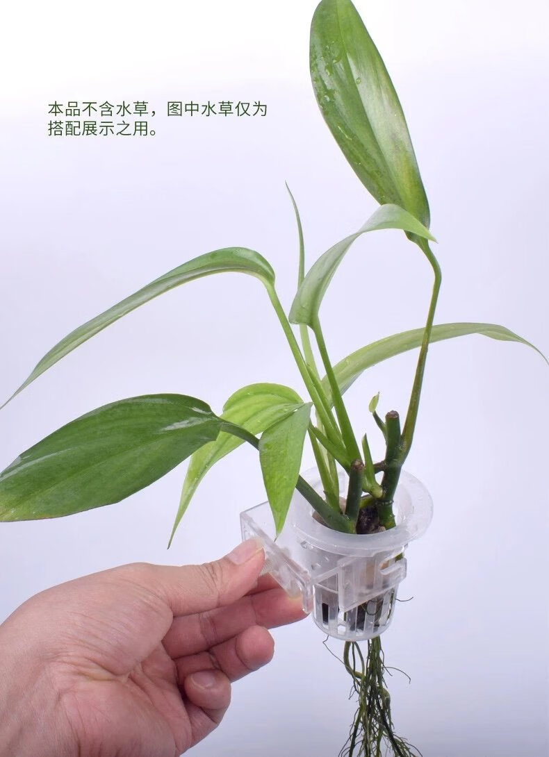 适用绿萝种植杯水草杯水上草水培挺水植物挂式定植篮鱼缸装饰造景配件