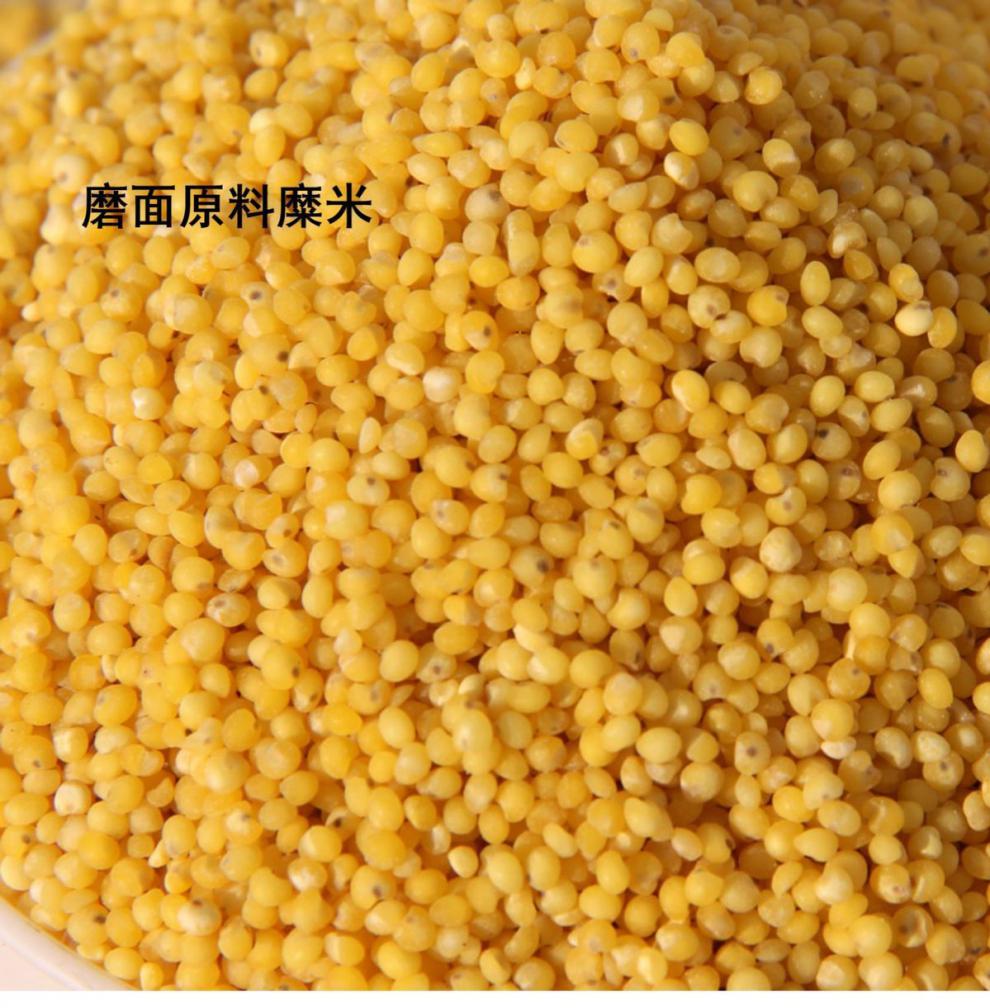 硬糜子面陕北黄馍馍糜子面粉硬黄米面粉稷子米面摊黄烙糕茶汤料陕北