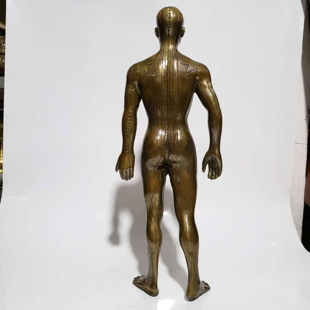 适用于纯铜穴位人针灸人体男女模型铜人艾灸经络图中医