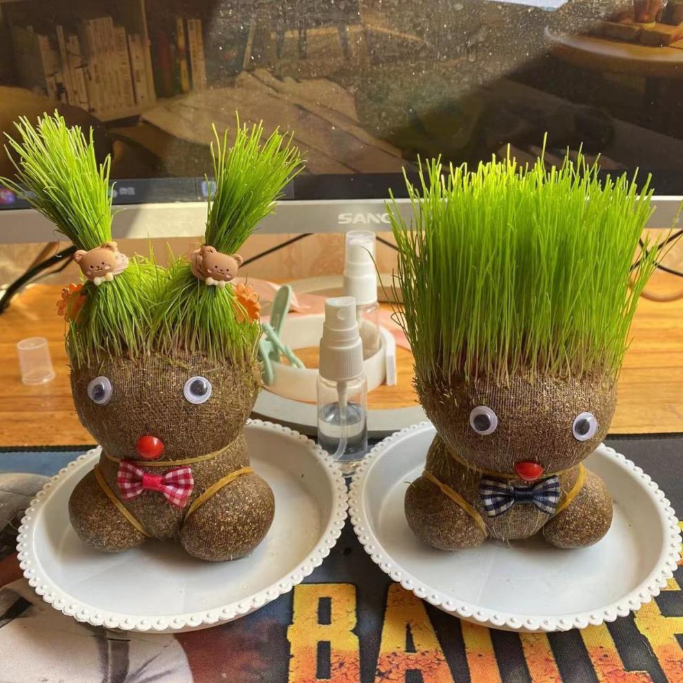 【精选现发】创意diy办公室迷你植物浇水长草头娃娃室内趣味小盆栽抖