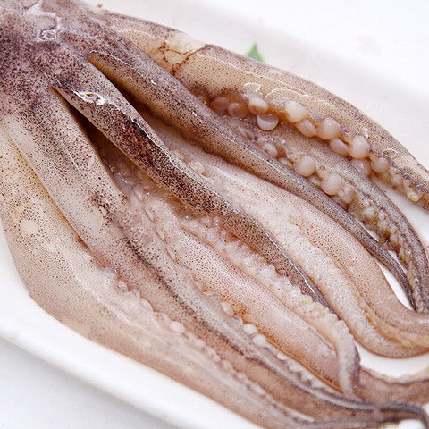 鱿鱼头鱿鱼海鲜水产章鱼鱿鱼须冷冻鱿鱼头香嫩鱿鱼头斓维品一斤装