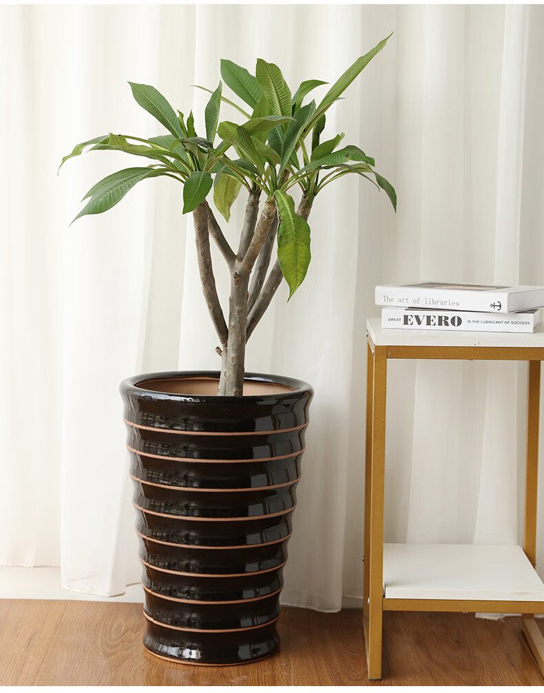 亮面描金线圈陶瓷绿植花盆大型植物发财树简约庭院客厅特价307黑中等