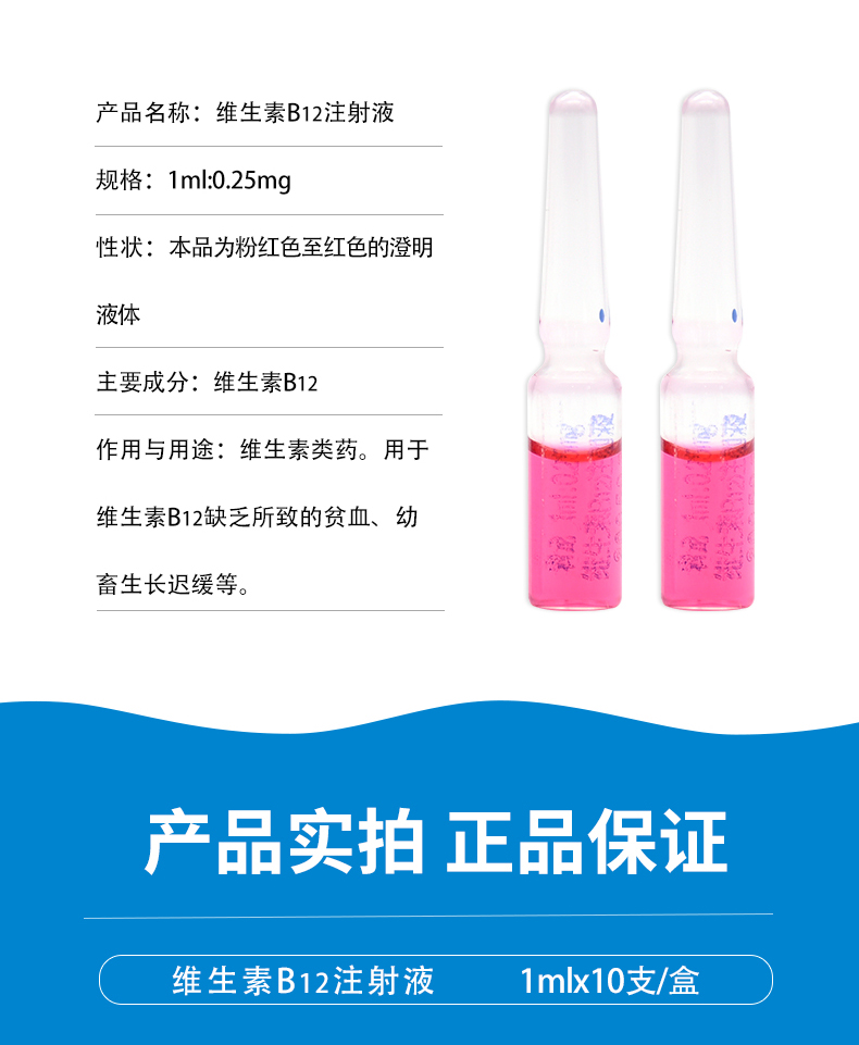 兽药b12维生素液注射vb12注射兽用猫狗神经炎贫血生长迟缓针剂 10盒 1