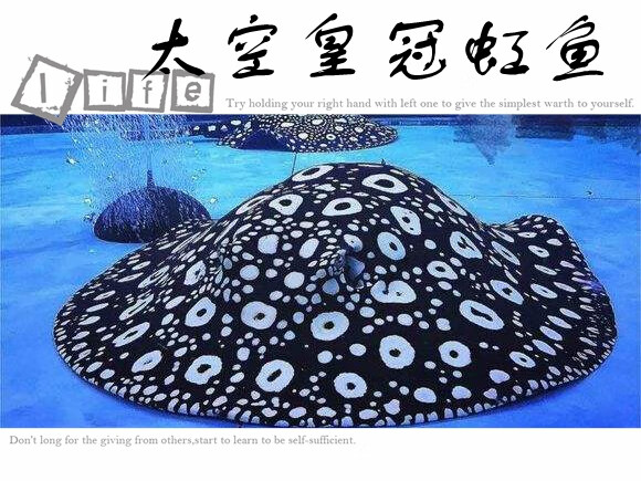 荣郁珍珠米克斯魟鱼黑白皇冠鱼皇冠黑金虹鱼魟鱼聚宝盆鱼活体珍珠魟