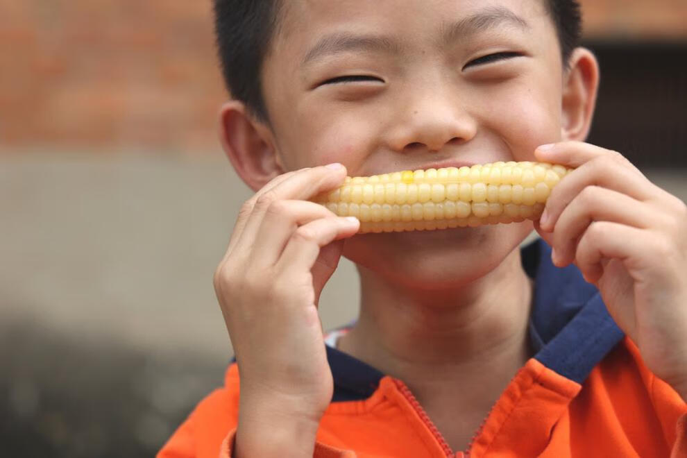 西双版纳拇指小玉米绿野珍珠小玉米迷你白糯香糯云南新鲜真空小粒