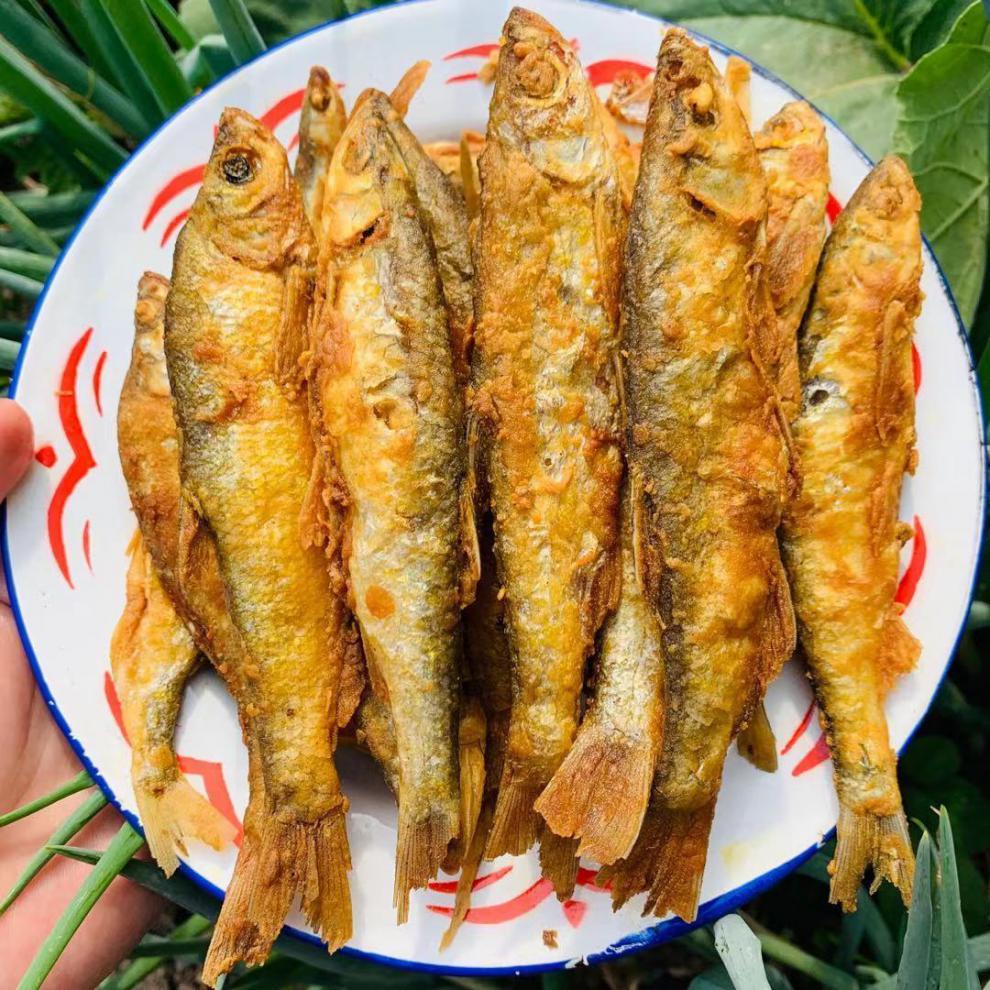 小白鱼新鲜川条鱼刁子微山湖油炸鱼淡水鱼翘嘴鱼现捞现杀去肠冷链1斤