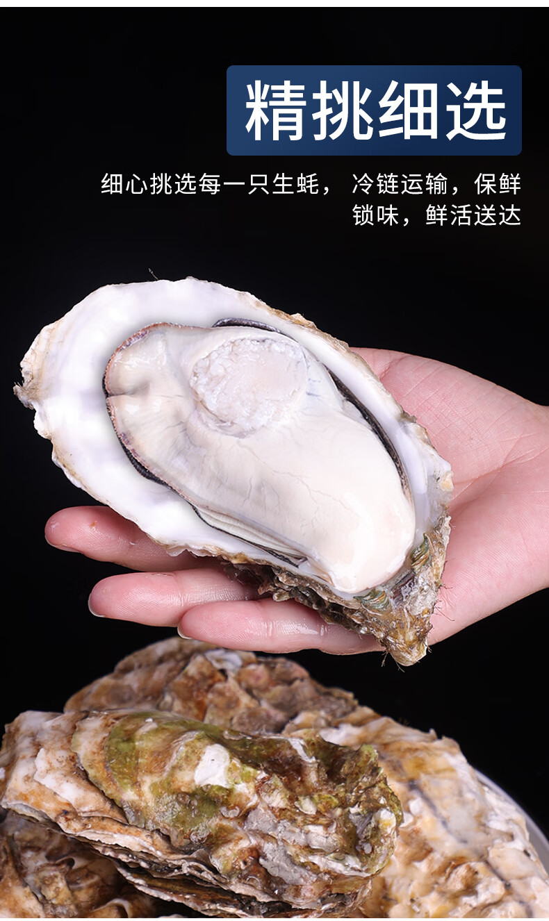 顺丰冷链超朴特大生蚝鲜活5斤乳山超大新鲜海蛎子即食生吃海鲜刺身10