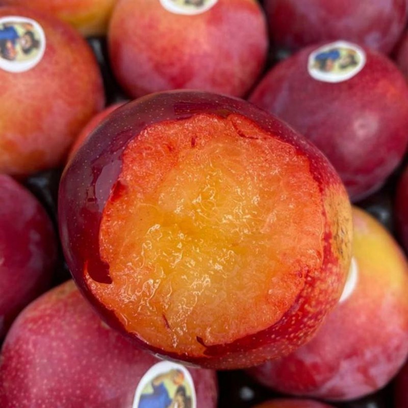 珠宝李 新鲜时令水果孕妇黄肉布林恐龙蛋水果 9斤畅吃装【图片 价格