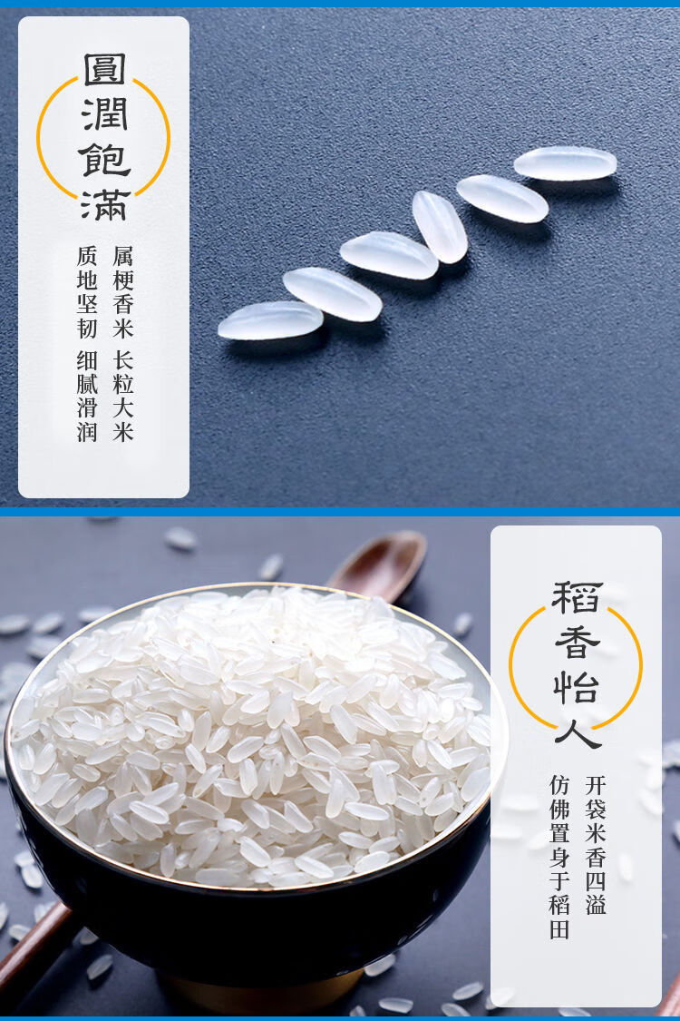 米点儿新米2021年东北大米二号纯五常稻花香大米稻香米10斤