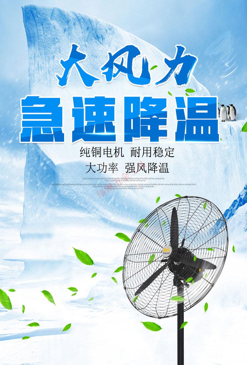 菊花牌工业落地扇强力牛角扇商用定制110/220v大风力壁挂式电风扇定制