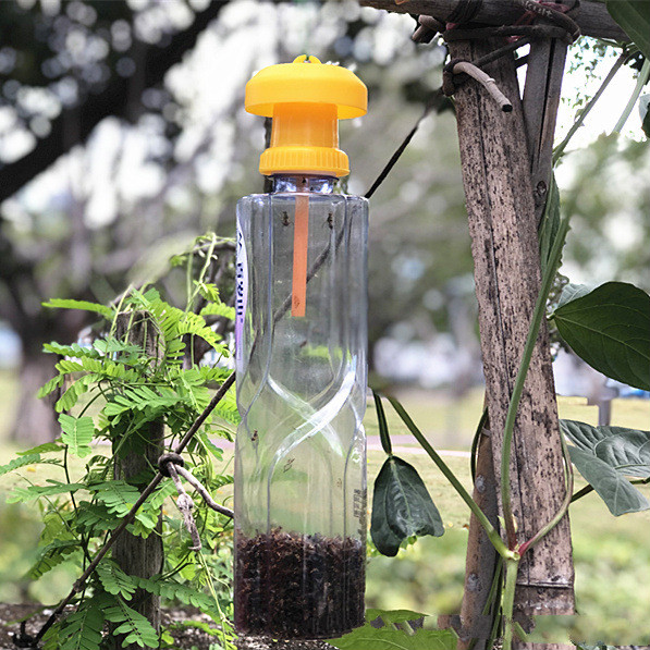 y 果蝇诱捕器 粘蝇虫板批发果实蝇诱捕器盖头配果蝇引诱剂使用瓜果