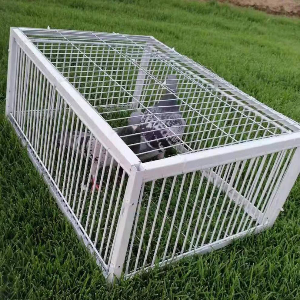 逮鸟神器工具新款加密天落鸽子笼只进不出自动撞门笼四面埋伏鸽子