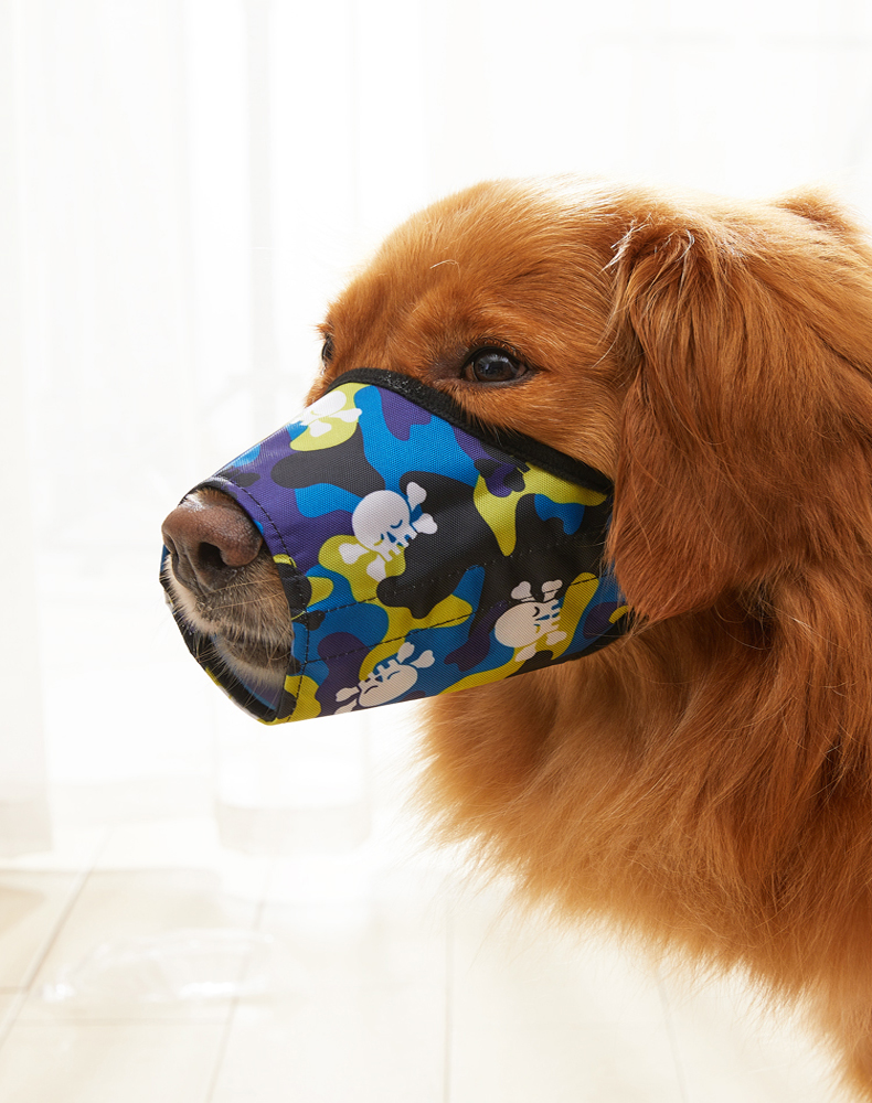 矢向 狗狗嘴套防咬狗口罩泰迪防乱叫嘴套大型犬金毛防乱吃嘴罩宠物